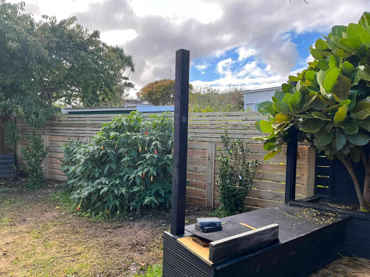 Black timber fence and gate posts in a Wellington garden